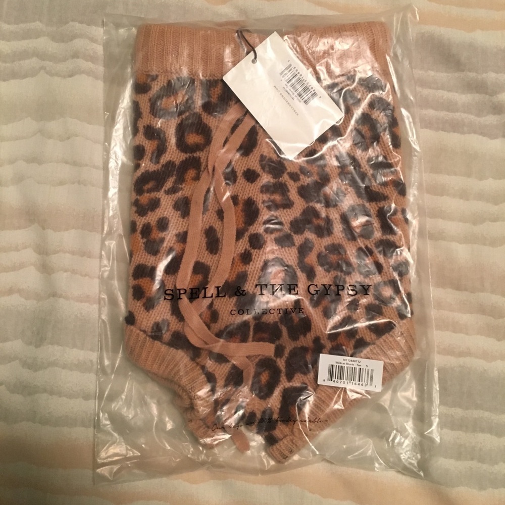Spell Wildcat Shorts! - Picture 4 of 5